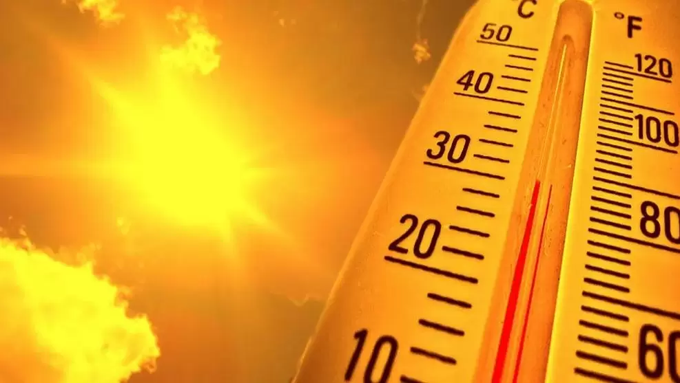 Summer heat can affect sugar levels. Stay hydrated, monitor levels, and plan smart to manage diabetes effectively.