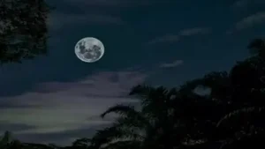 Guru Purnima symbolizes wisdom in India, while Buck Moon reflects nature’s renewal in America—showcasing cultural diversity under the same moon.