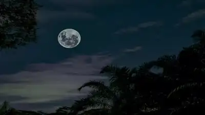 Guru Purnima symbolizes wisdom in India, while Buck Moon reflects nature’s renewal in America—showcasing cultural diversity under the same moon.