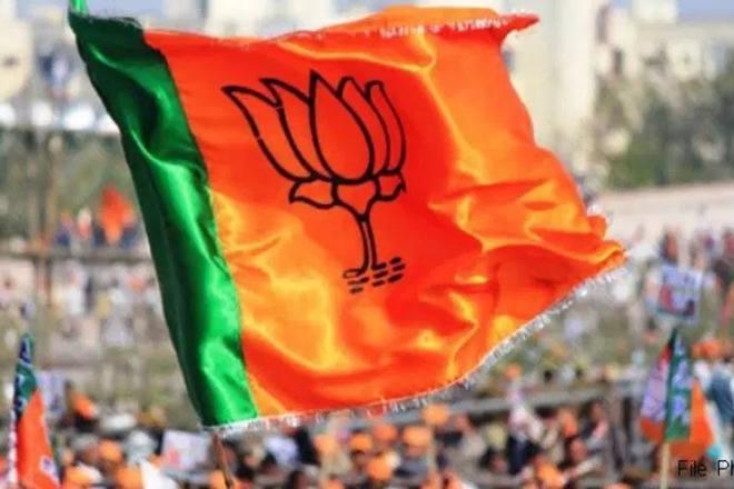 BJP criticizes Congress for blaming Kohli and RCB over the IPL celebration stampede, questions govt's responsibility and political motives.